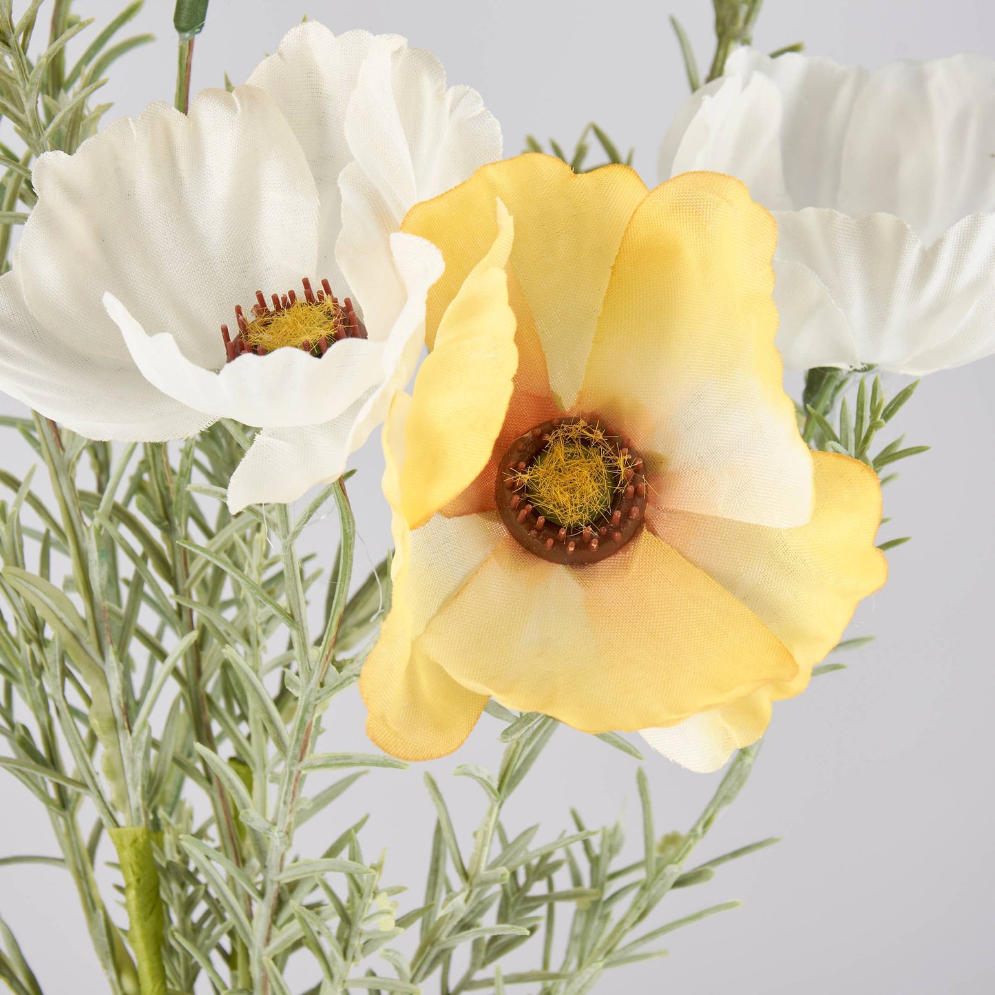 Sunshine Cosmos Bouquet