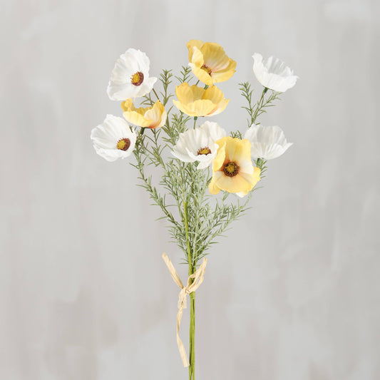 Sunshine Cosmos Bouquet